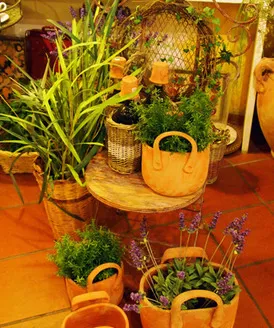 Garden_3